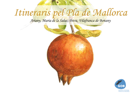 Itineraris Pel Pla De Mallorca