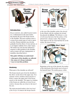 Biceps Tendonitis