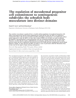 The Regulation of Mesodermal Progenitor Cell Commitment to Somitogenesis Subdivides the Zebrafish Body Musculature Into Distinct Domains