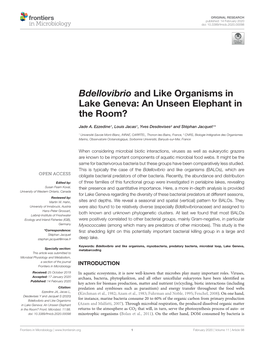 Bdellovibrio and Like Organisms in Lake Geneva: an Unseen Elephant in the Room?