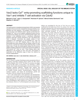 Vav2 Lacks Ca<Sup>2+</Sup> Entry-Promoting Scaffolding