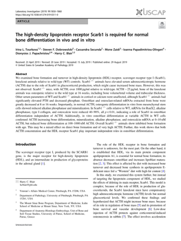 The High-Density Lipoprotein Receptor Scarb1 Is Required for Normal Bone Differentiation in Vivo and in Vitro