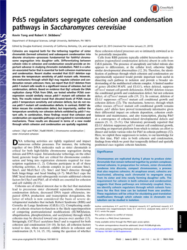 Pds5 Regulators Segregate Cohesion and Condensation Pathways in Saccharomyces Cerevisiae