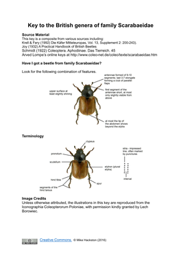 Key to the British Genera of Family Scarabaeidae