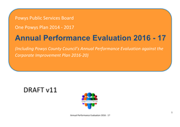 DRAFT V11 Annual Performance Evaluation 2016