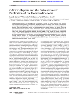 CAGGG Repeats and the Pericentromeric Duplication of the Hominoid Genome