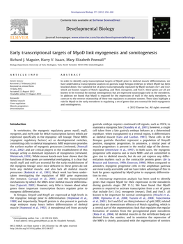 Early Transcriptional Targets of Myod Link Myogenesis and Somitogenesis
