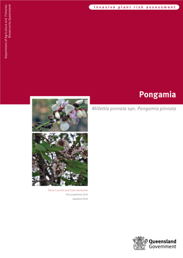 Pongamia Risk Assessment