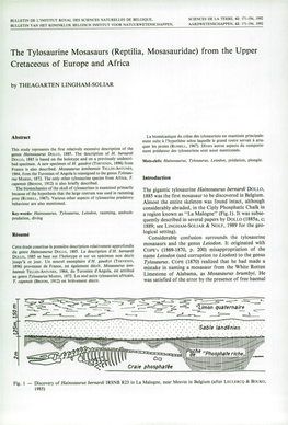 The Tylosaurine Mosasaurs (Reptilia, Mosasauridae) from the Upper Cretaceous of Europe and Africa