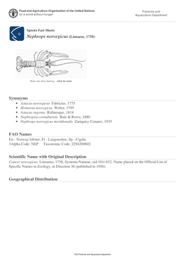 Species Fact Sheets Nephrops Norvegicus (Linnaeus, 1758)