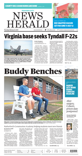 Virginia Base Seeks Tyndall F-22S