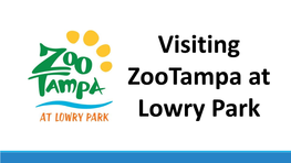 Visiting Zootampa at Lowry Park