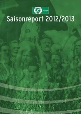 Saisonreport 2012/2013