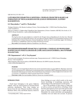 Late Miocene Indarctos (Carnivora: Ursidae) from Kalmakpai Locality in Kazakhstan