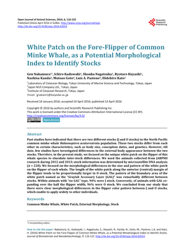 White Patch on the Fore-Flipper of Common Minke Whale, As a Potential Morphological Index to Identify Stocks