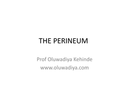 5 the PERINEUM Diya.Pdf