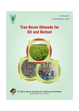 Tree Borne Oilseeds for Oil and Biofuel