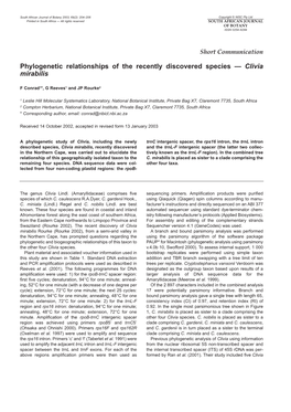 Phylogenetic Relationships of the Recently Discovered Species — Clivia Mirabilis