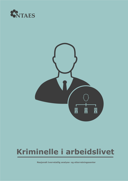 Rapporten «Kriminelle I Arbeidslivet