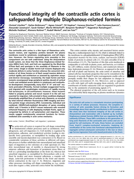 Functional Integrity of the Contractile Actin Cortex Is Safeguarded by Multiple Diaphanous-Related Formins