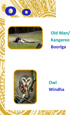 Old Man/ Kangaroo Boorlga Owl Windha