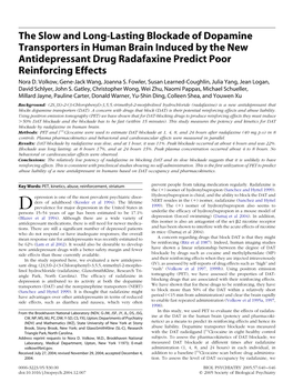 The Slow and Long-Lasting Blockade of Dopamine Transporters in Human Brain Induced by the New Antidepressant Drug Radafaxine Predict Poor Reinforcing Effects Nora D