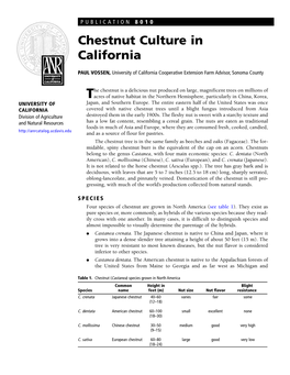 Chestnut Culture in California