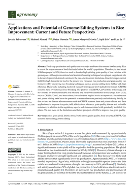 Applications and Potential of Genome-Editing Systems in Rice Improvement: Current and Future Perspectives