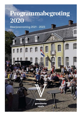 Concept Programmabegroting 2020