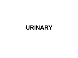 URINARY Objectives