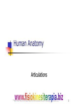 Human Anatomy