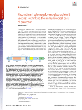 Recombinant Cytomegalovirus Glycoprotein B Vaccine: Rethinking the Immunological Basis of Protection Mark R