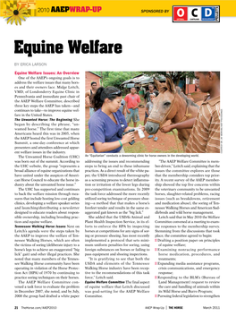 Equine Welfare