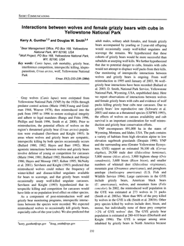 Interactions Between Wolves and Female Grizzly Bears with Cubs in Yellowstone National Park