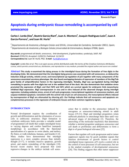 Apoptosis During Embryonic Tissue Remodeling Is Accompanied by Cell Senescence