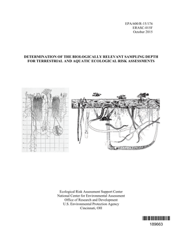 Determination of the Biologically Relevant Sampling Depth for Terrestrial and Aquatic Ecological Risk Assessments