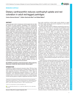 Dietary Canthaxanthin Reduces Xanthophyll Uptake and Red Coloration in Adult Red-Legged Partridges Carlos Alonso-Alvarez1,*, Esther Garcıa-Dé Blas2 and Rafael Mateo2