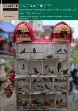 Caged in the City: an Inventory of Birds for Sale in Ha Noi and Ho Chi Minh City, Viet Nam 1 TRAFFIC REPORT