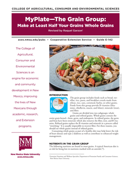 E-142: Myplate—The Grain Group