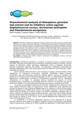 Phytochemical Analysis of Rhizophora Apiculata Leaf Extract and Its