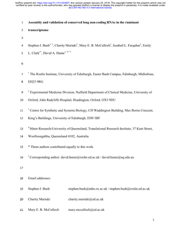 Assembly and Validation of Conserved Long Non-Coding Rnas in the Ruminant