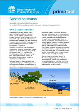 Coastal Saltmarsh