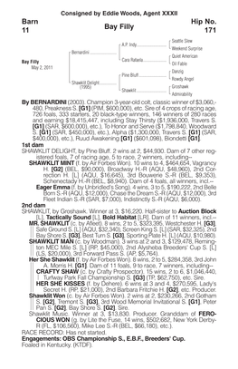 Bay Filly Barn 11 Hip No