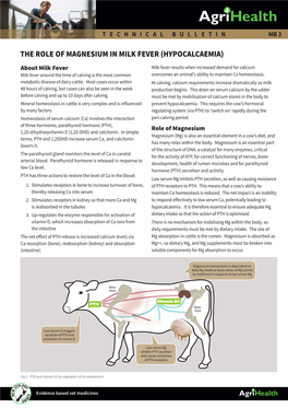 The Role of Magnesium in Milk Fever (Hypocalcaemia)