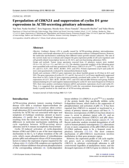 Upregulation of CDKN2A and Suppression of Cyclin D1 Gene