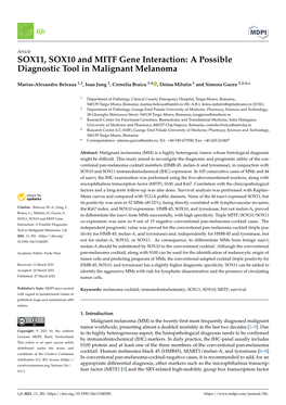 SOX11, SOX10 and MITF Gene Interaction: a Possible Diagnostic Tool in Malignant Melanoma