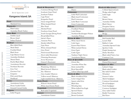 Bird Species Checklist