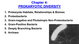 Chapter 4: PROKARYOTIC DIVERSITY