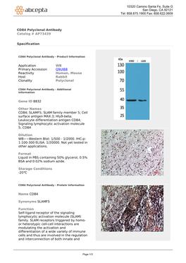 CD84 Polyclonal Antibody Catalog # AP73439