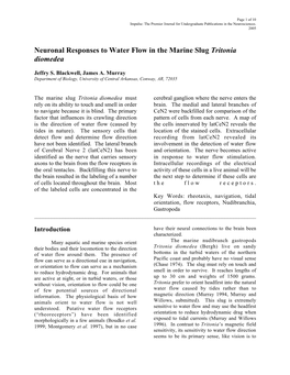 Neuronal Responses to Water Flow in the Marine Slug Tritonia Diomedea